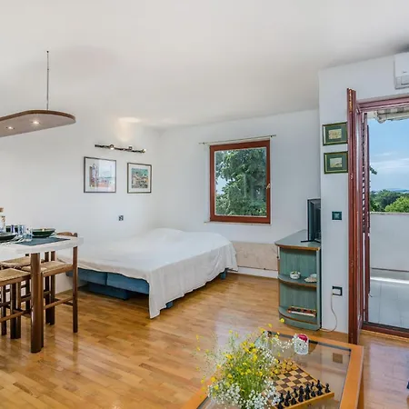 公寓 Amazing In Krk With Kitchen 克尔克